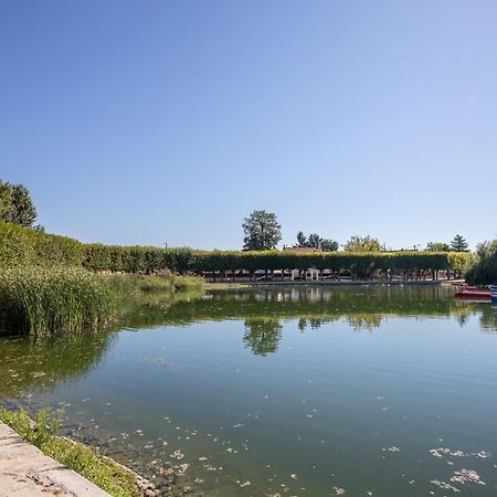 Appartement Cosy ,Wifi ,Gare "Le Refuge Du Lac" Vigneux-sur-Seine Dış mekan fotoğraf
