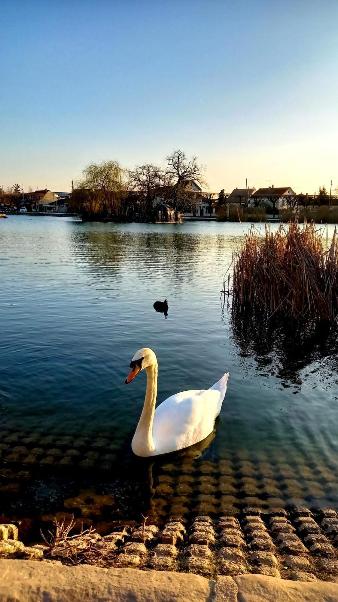 Appartement Cosy ,Wifi ,Gare "Le Refuge Du Lac" Vigneux-sur-Seine Dış mekan fotoğraf
